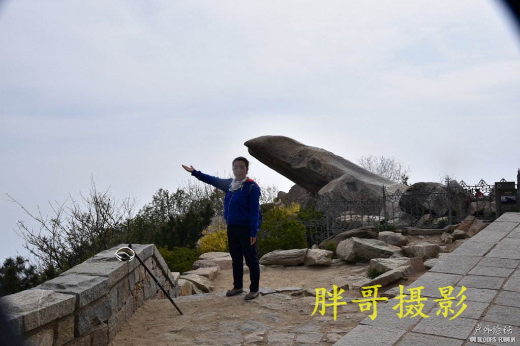 DSC_8543.JPG