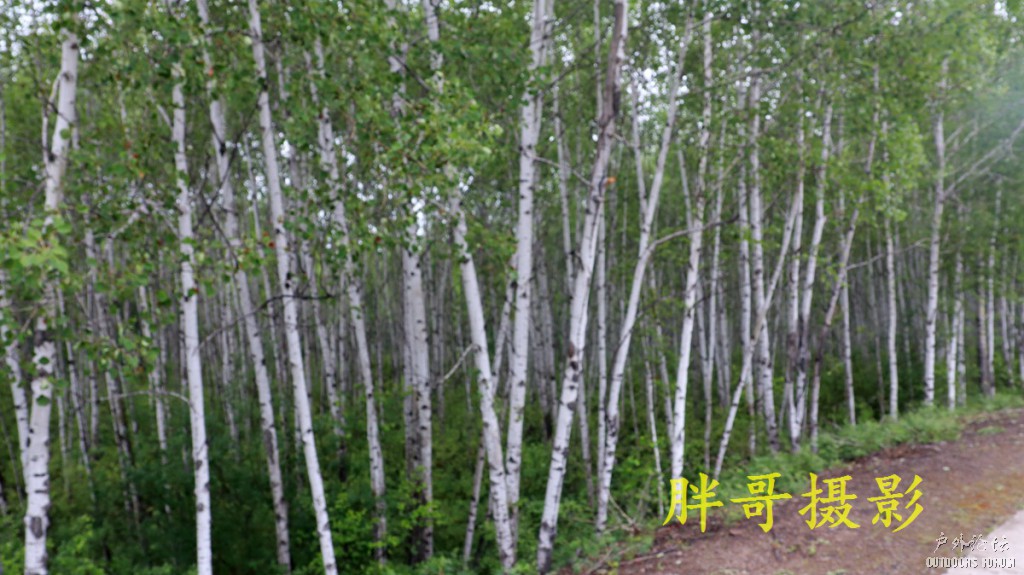IMG_2566.JPG