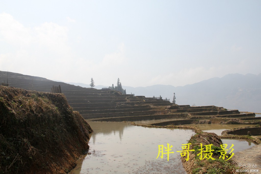 IMG_1466.JPG
