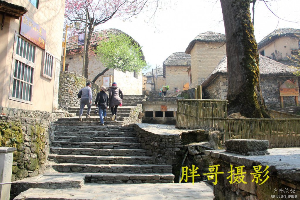 IMG_1629.JPG