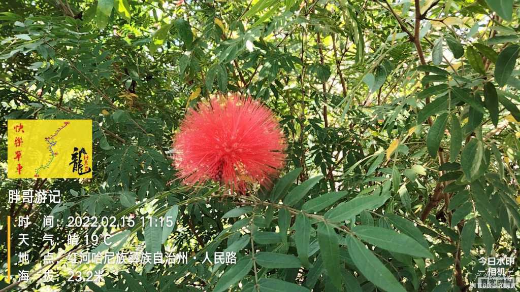 IMG_20220215_111516668.jpg