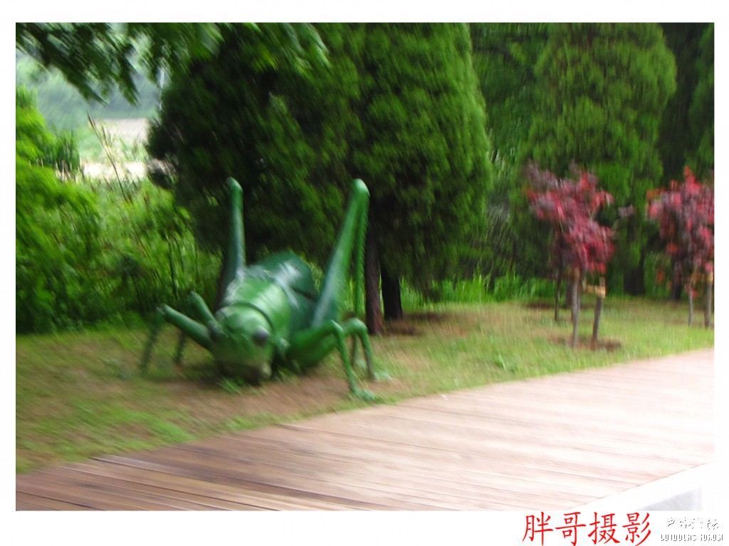 大连第一天 (22).jpg