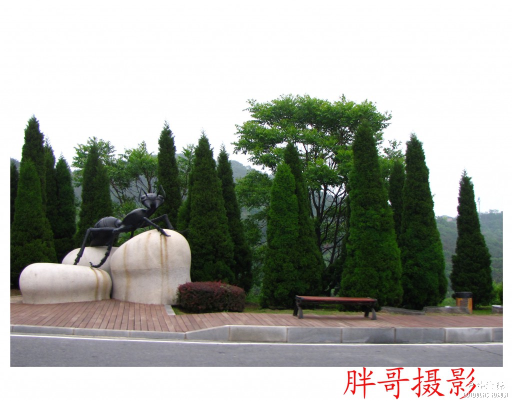 大连第一天 (25).jpg