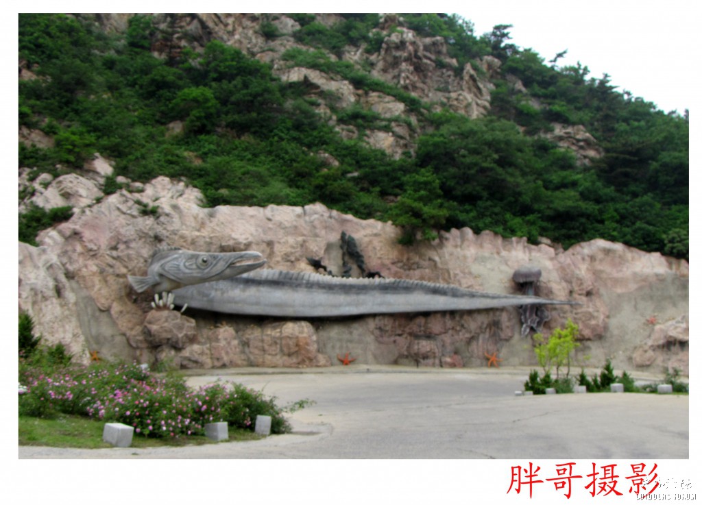 大连第一天 (46).jpg