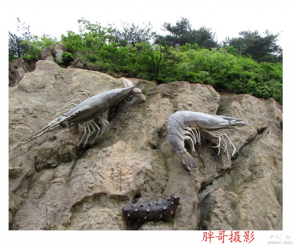 大连第一天 (58).jpg