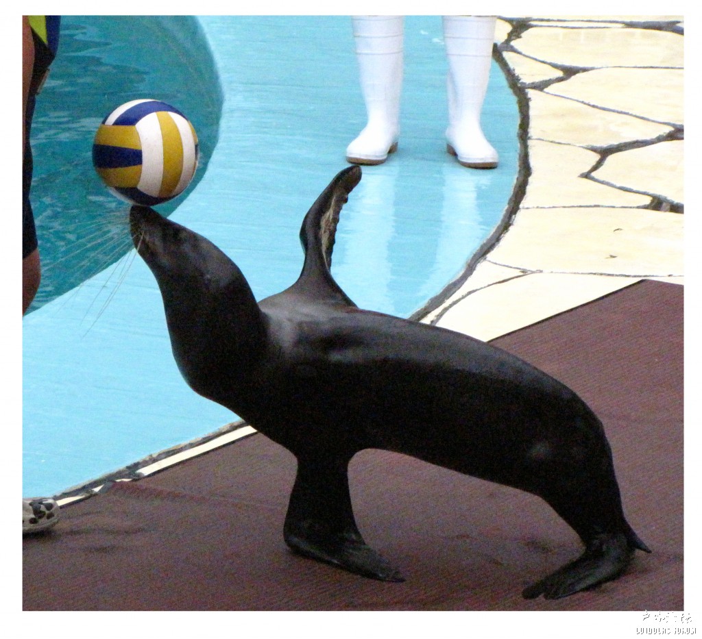 大连第一天 (134).jpg