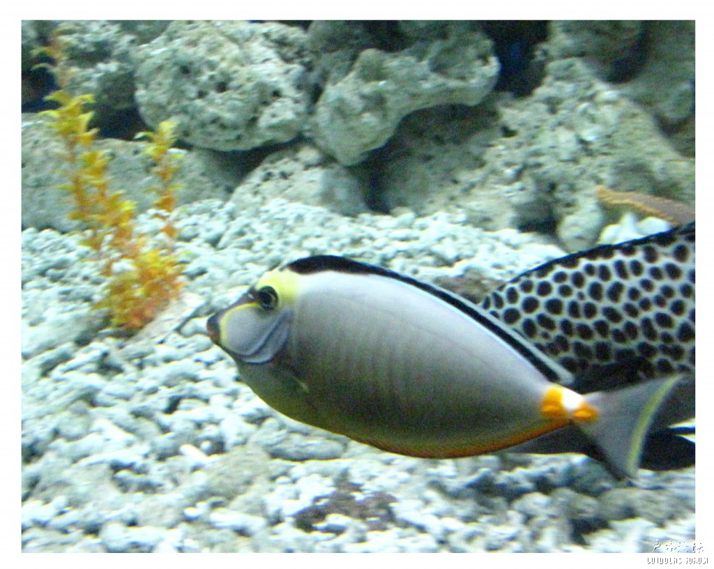 大连第一天 (212).jpg