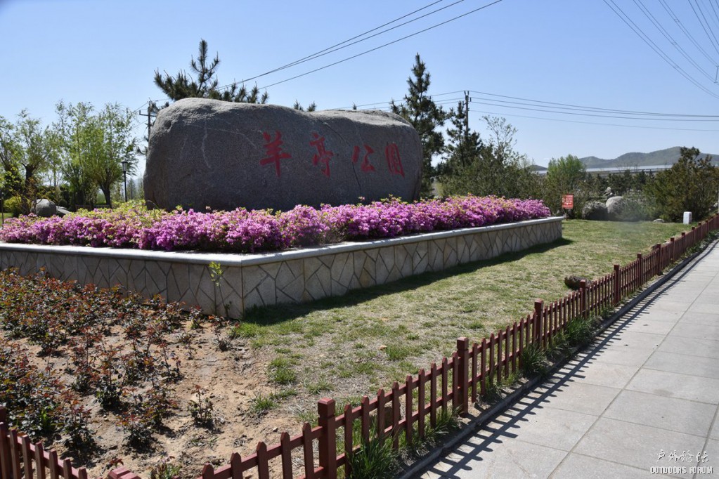 DSC_8111.JPG
