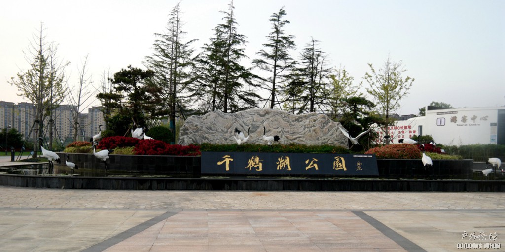 10190075.JPG