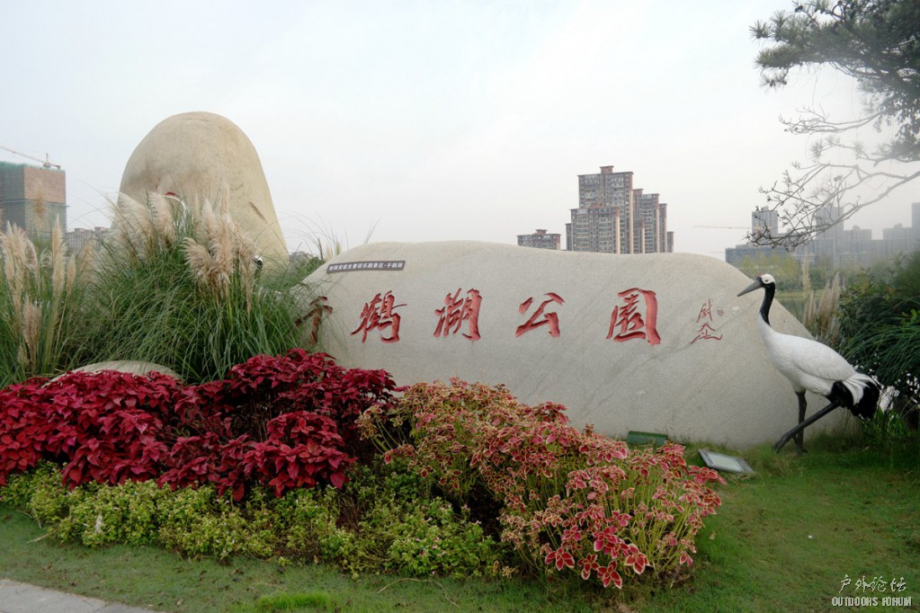 10190086.JPG