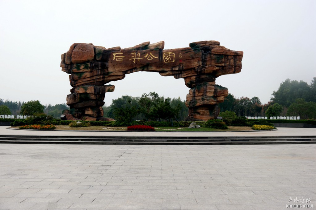 10190094.JPG