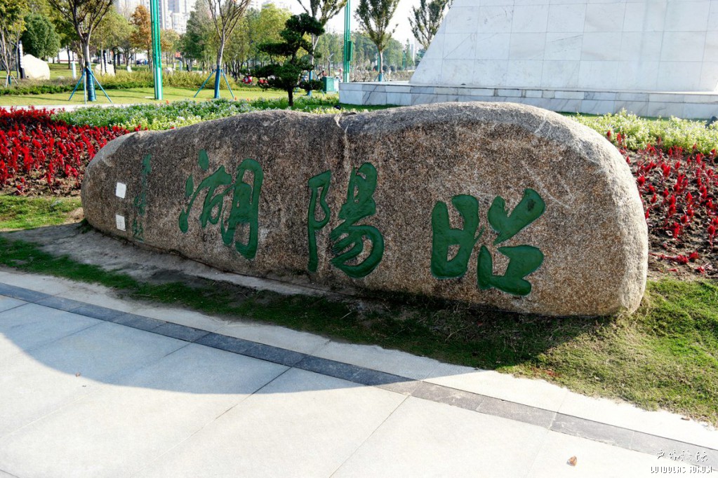 10210033.JPG
