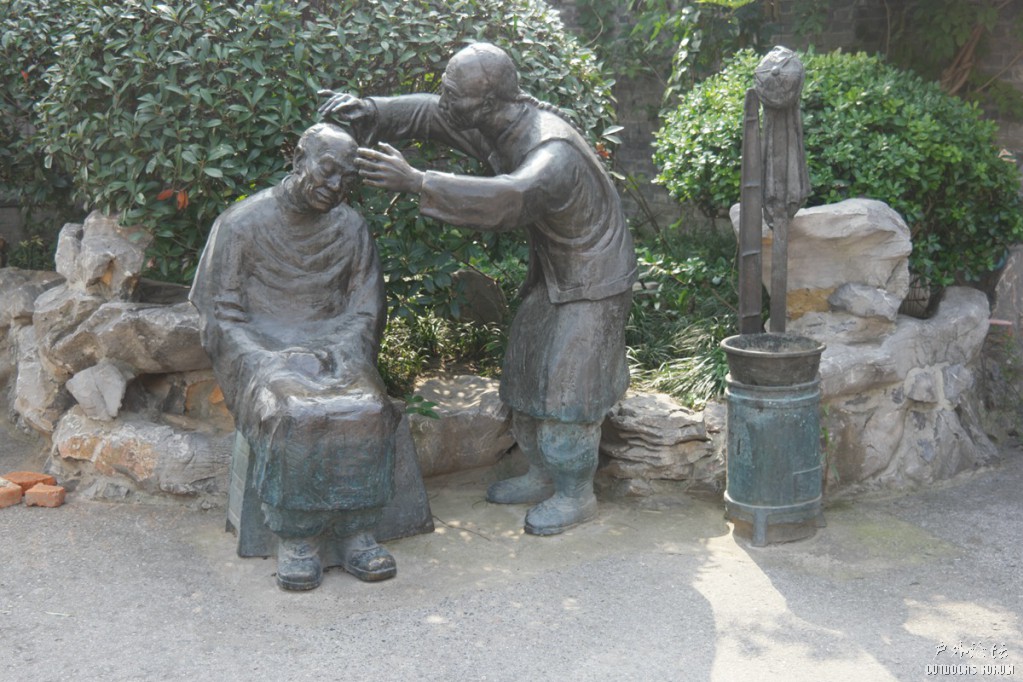 10230069.JPG