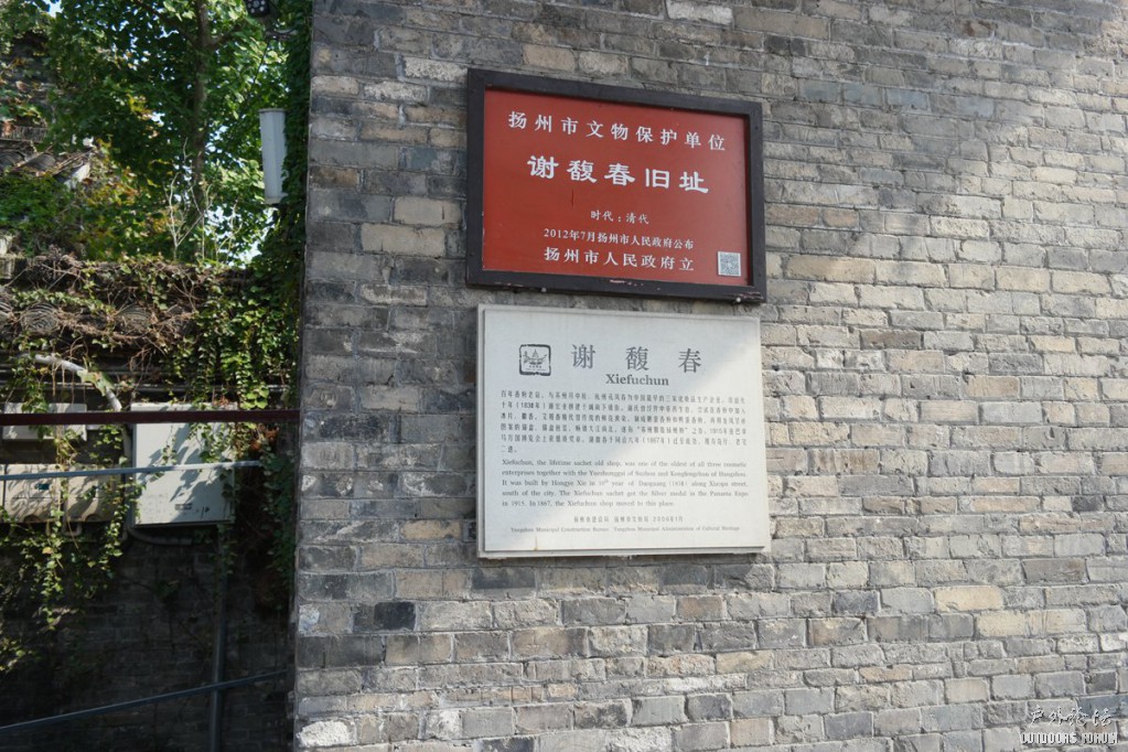 10230070.JPG