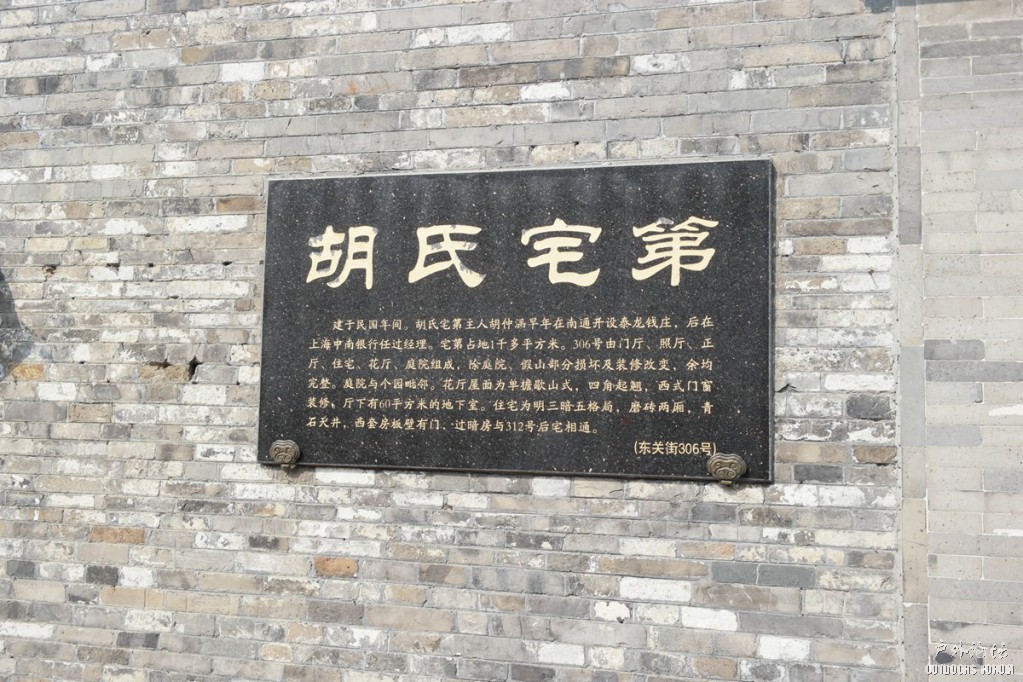 10230080.JPG