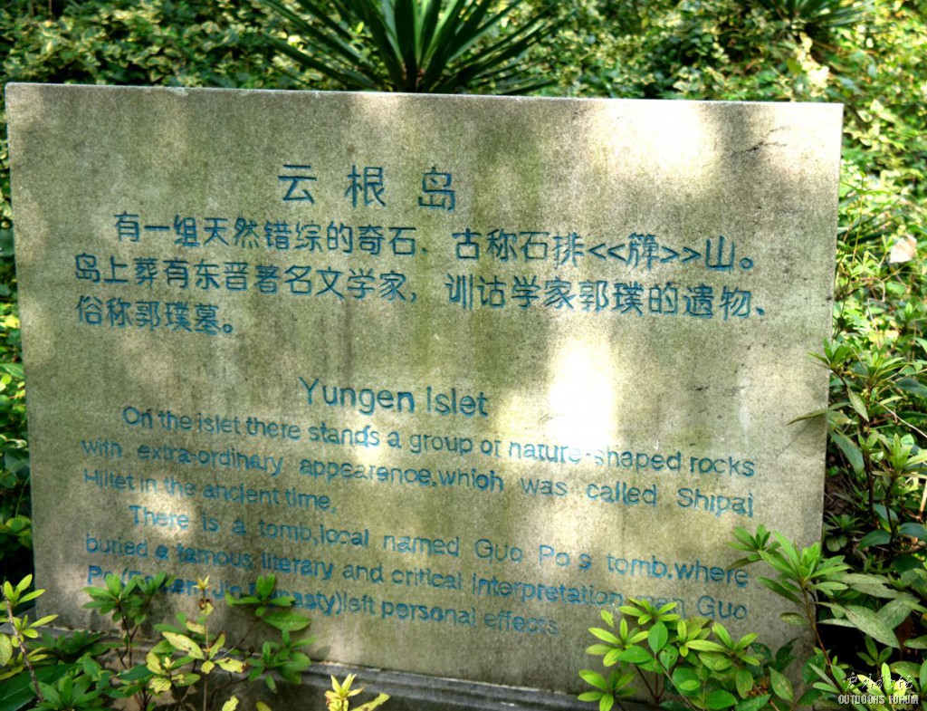 10260257.JPG