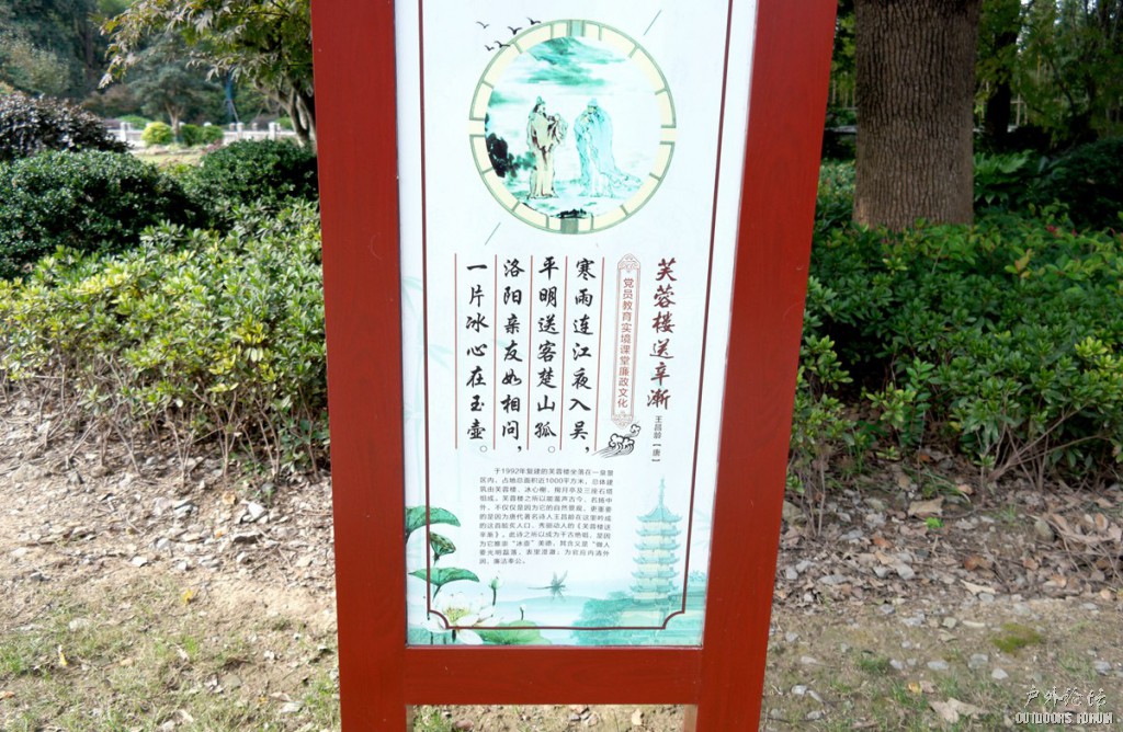 10260290.JPG