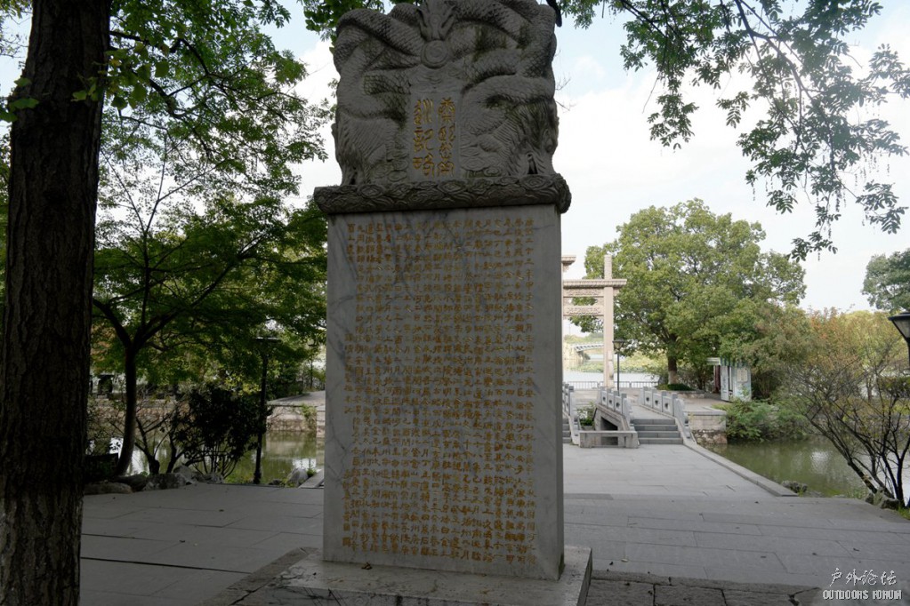 10260313.JPG
