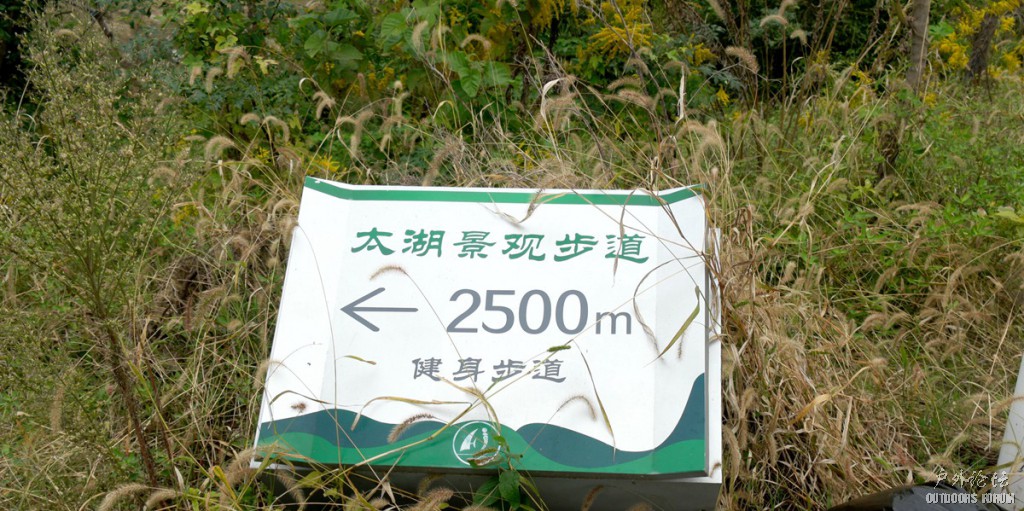 10290007.JPG