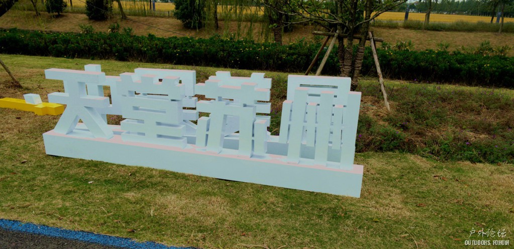 10290039.JPG