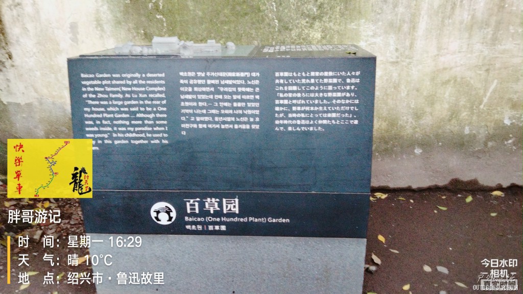 IMG_20211108_162952469.jpg
