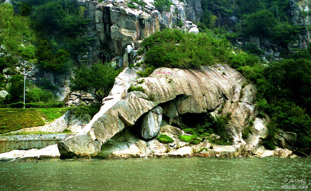 81.jpg