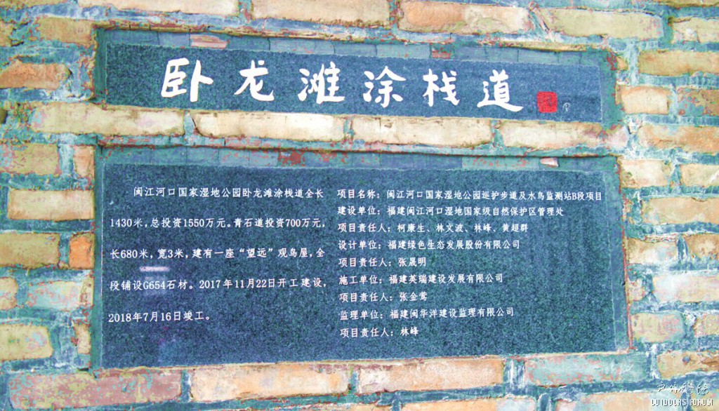 11180088.JPG