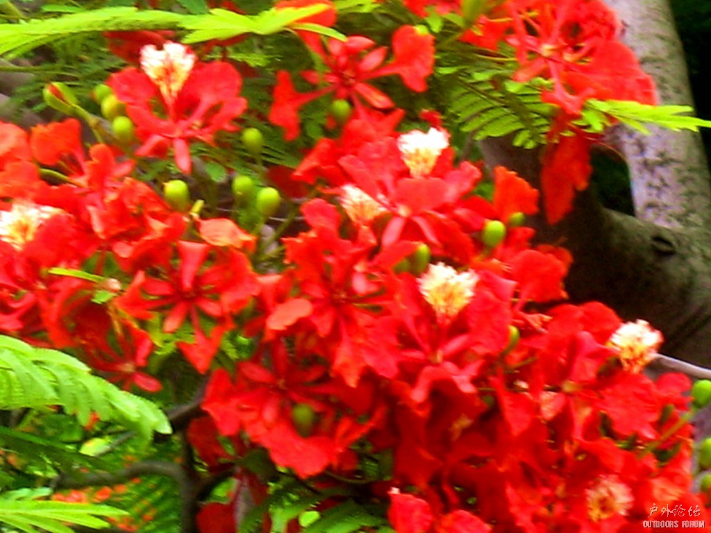 照片 132.jpg