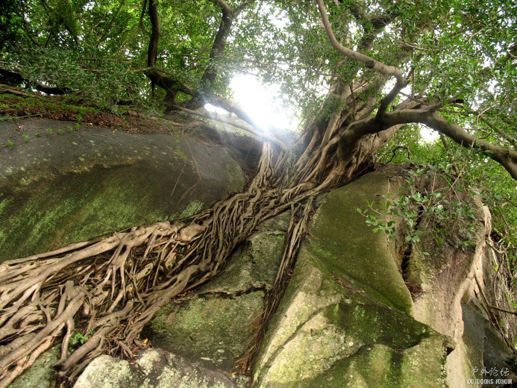 照片 138.jpg
