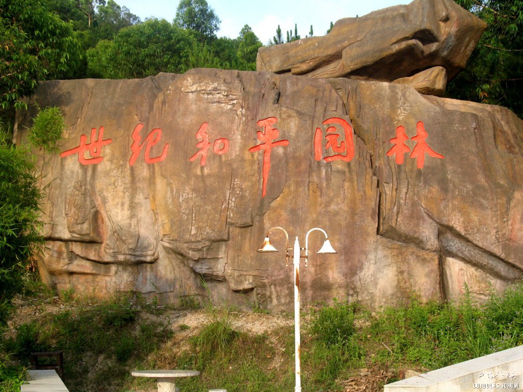 照片 255.jpg