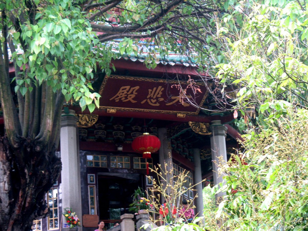 照片 278.jpg