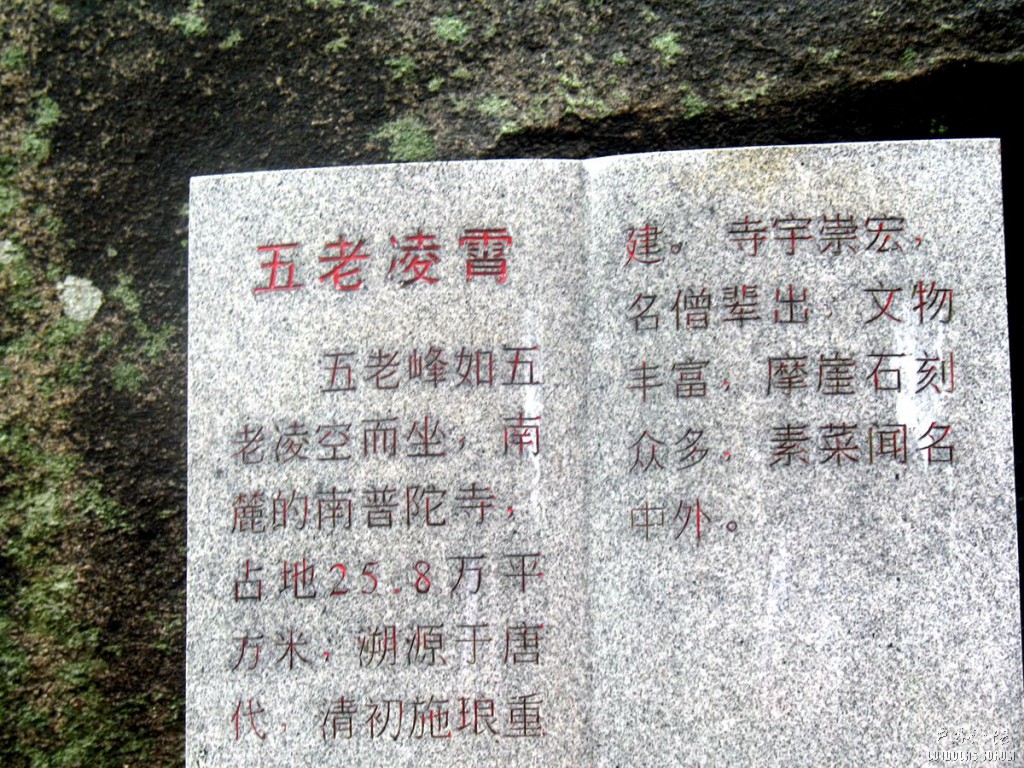 照片 295.jpg