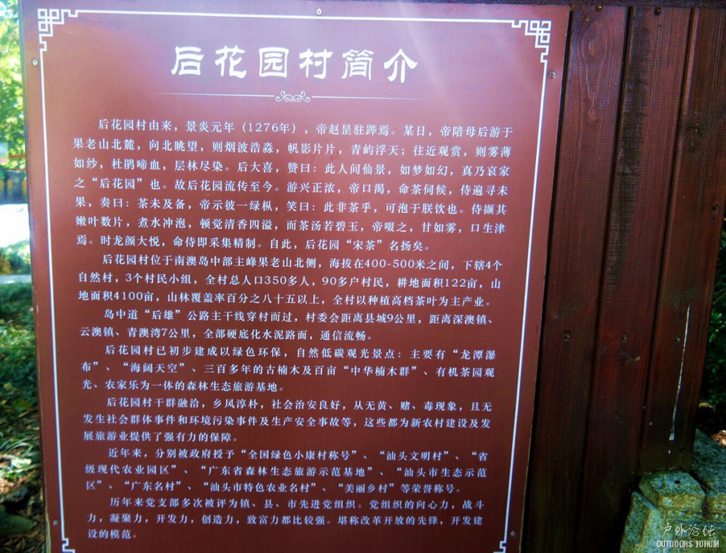 11290547.JPG