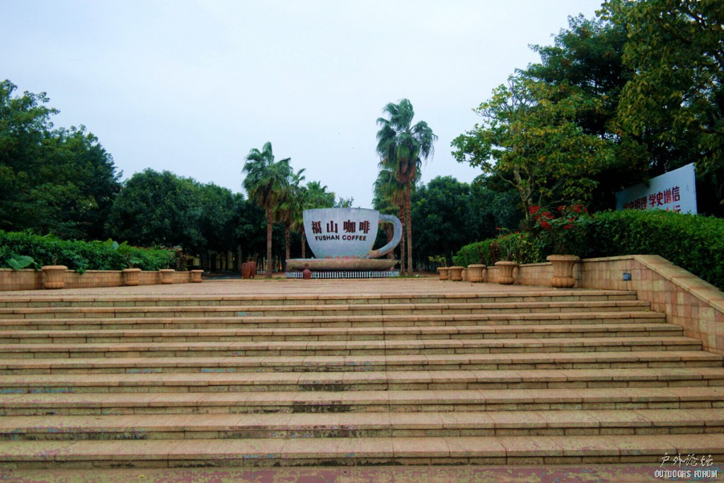 12190098.JPG