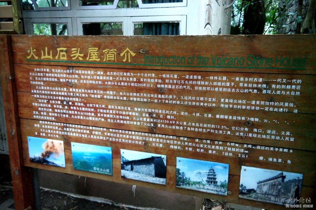 12190099.JPG