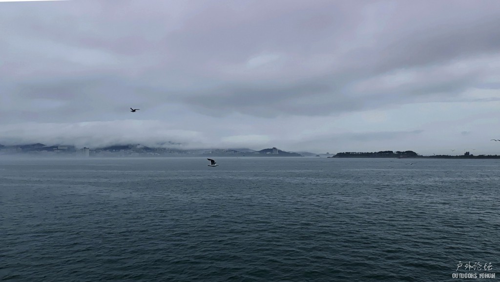 IMG_20230704_100209.jpg