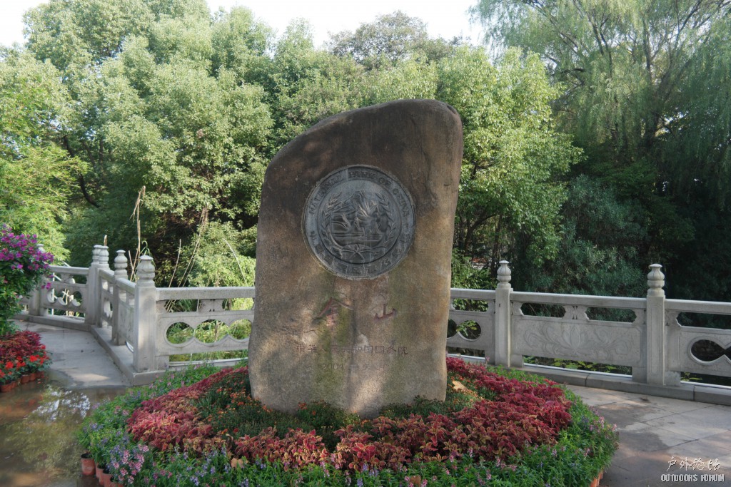 10260207.JPG