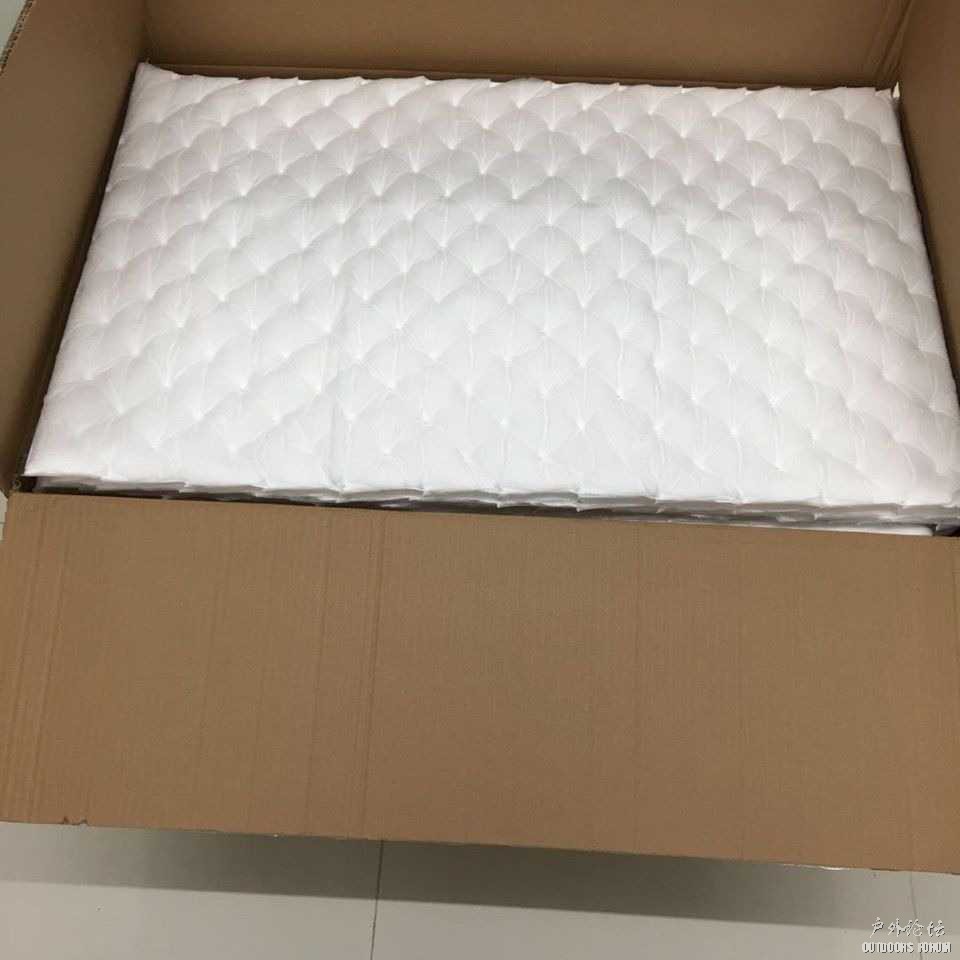 1702650706162.jpg
