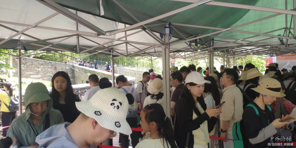 这是排队看福宝
