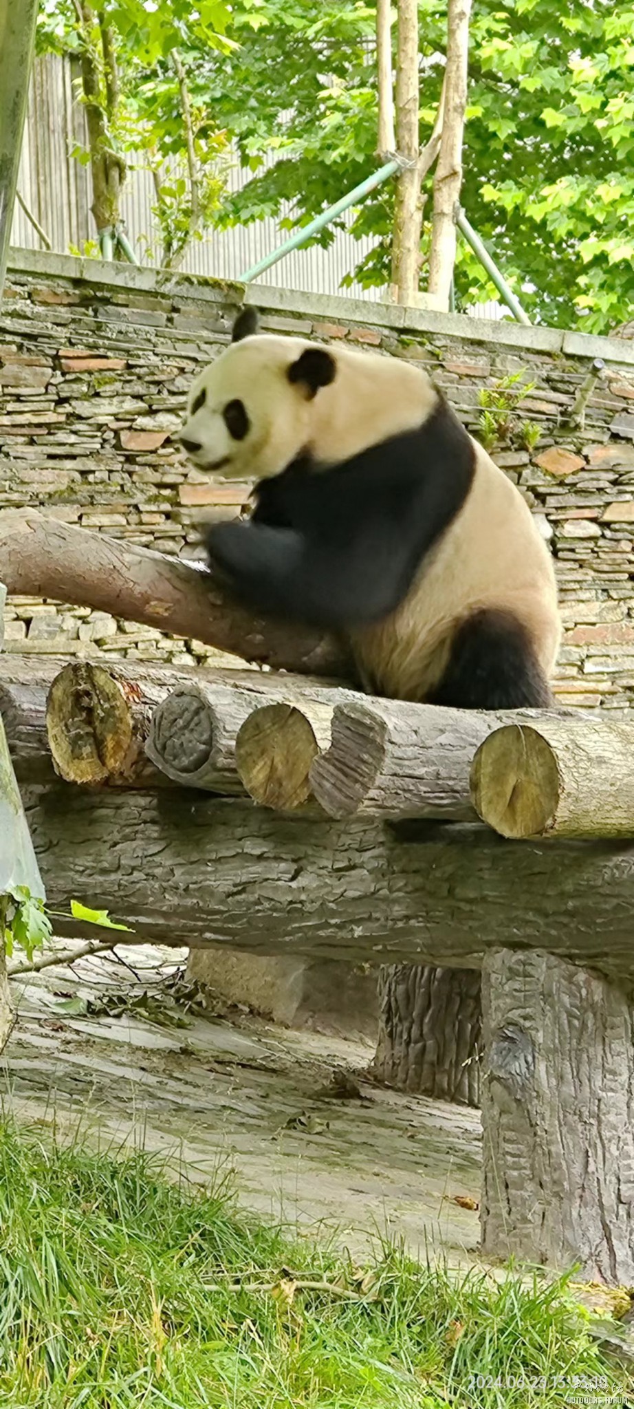 微信图片_20240627115129.jpg