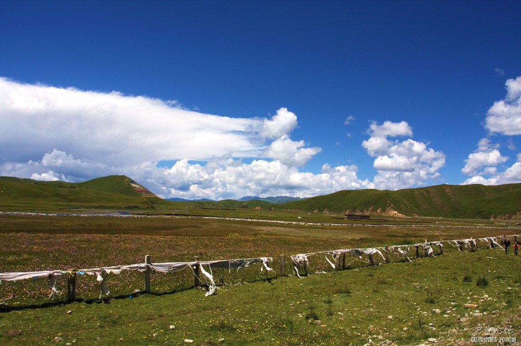 风光-25 (54).jpg