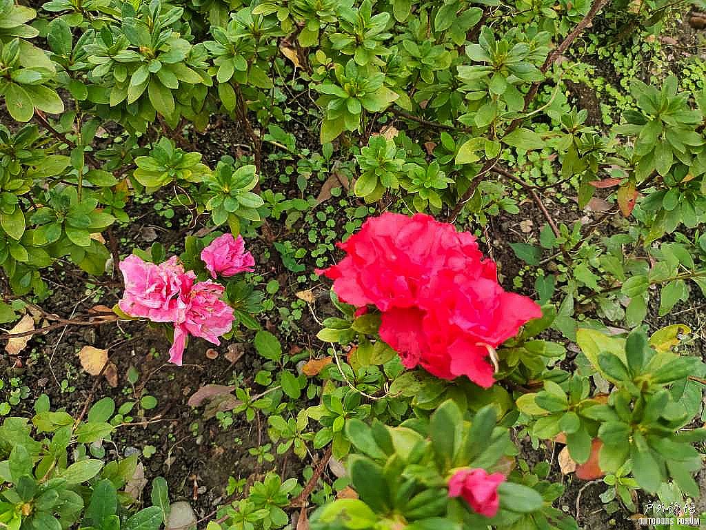 IMG_20231003_115925.jpg
