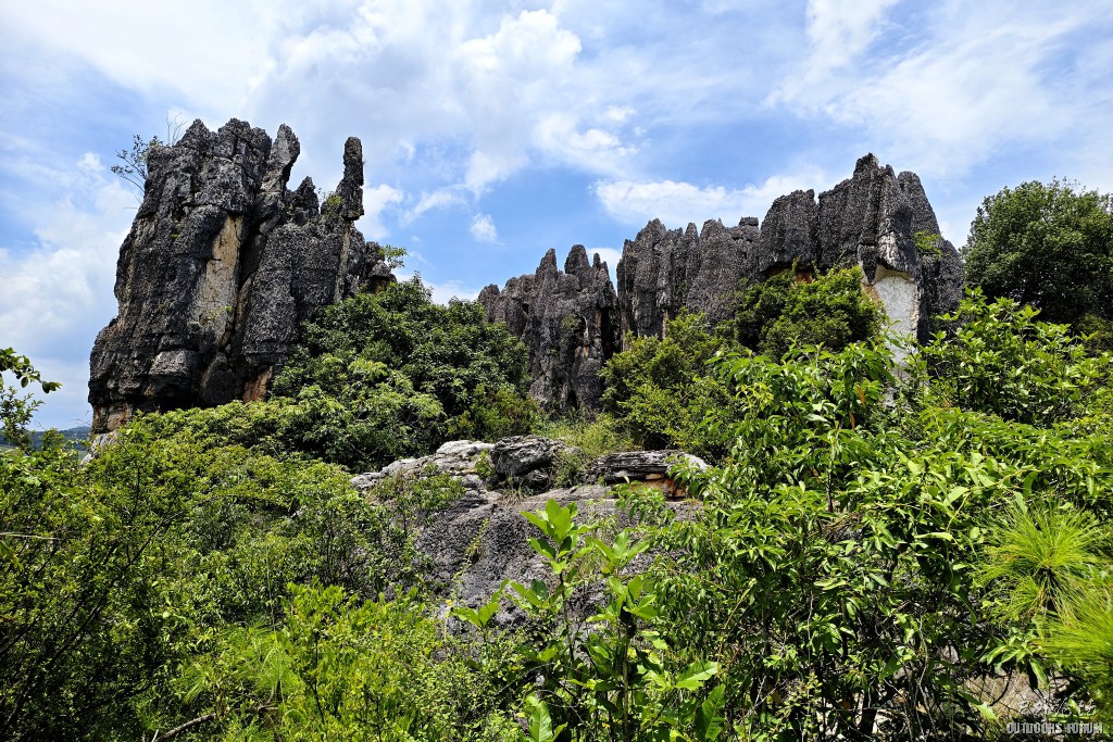 image011.jpg
