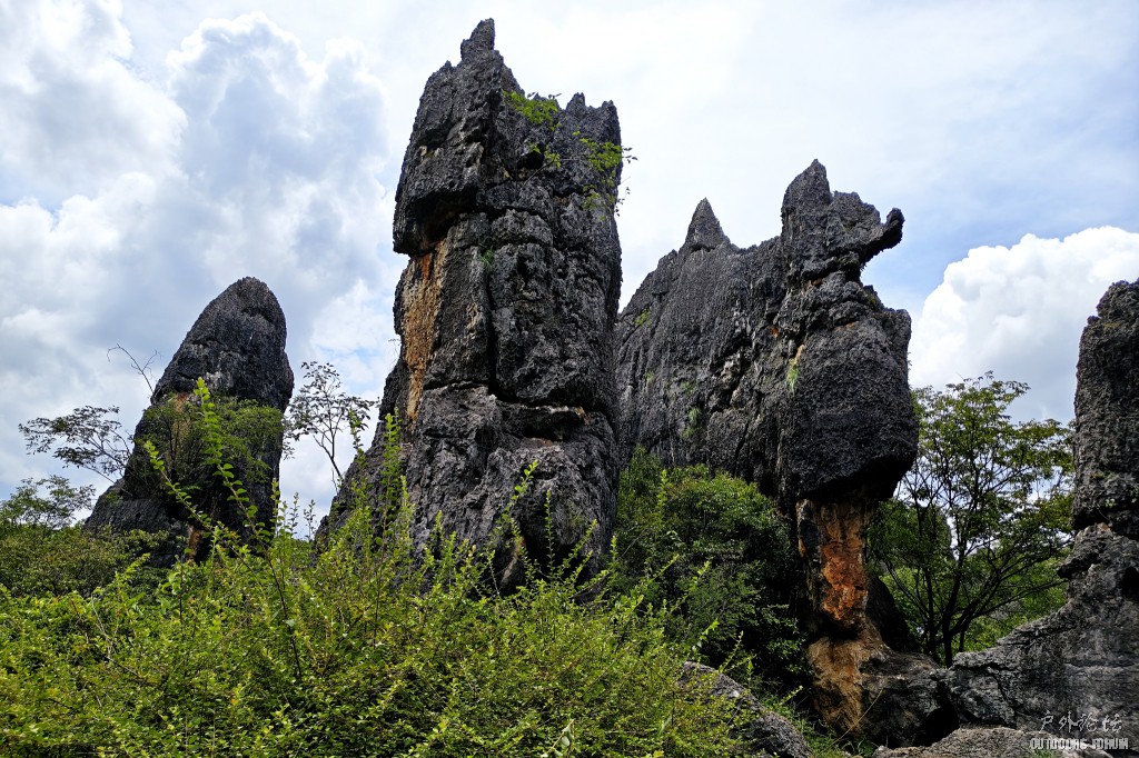 image021.jpg
