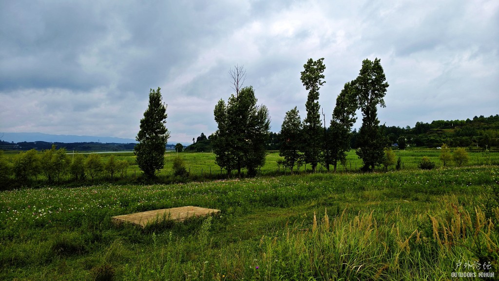 image021.jpg
