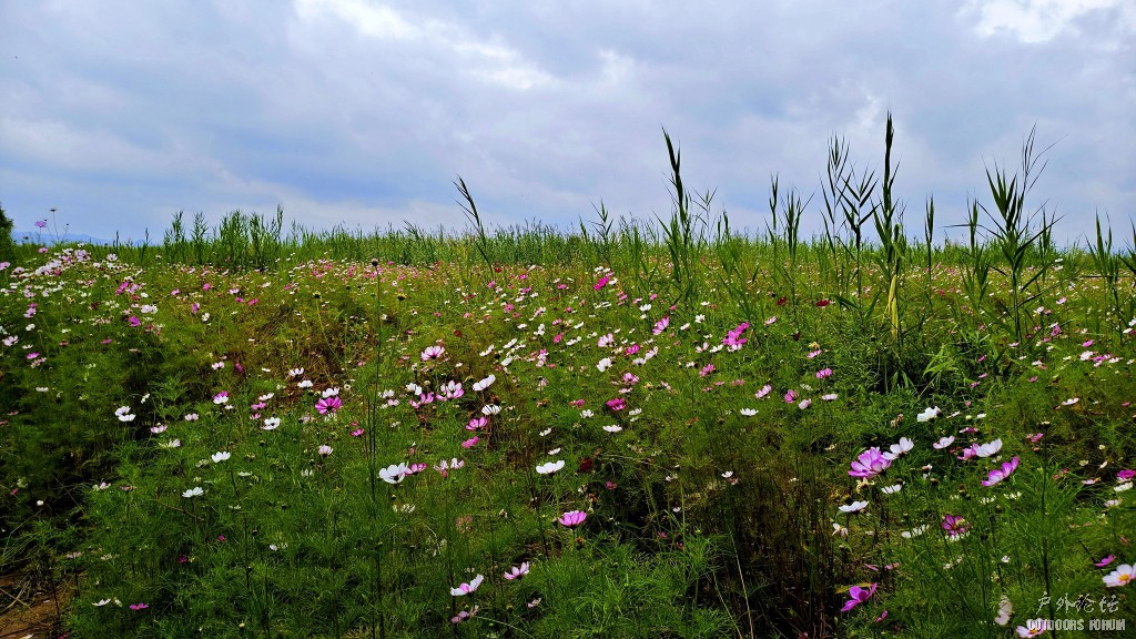 image047.jpg